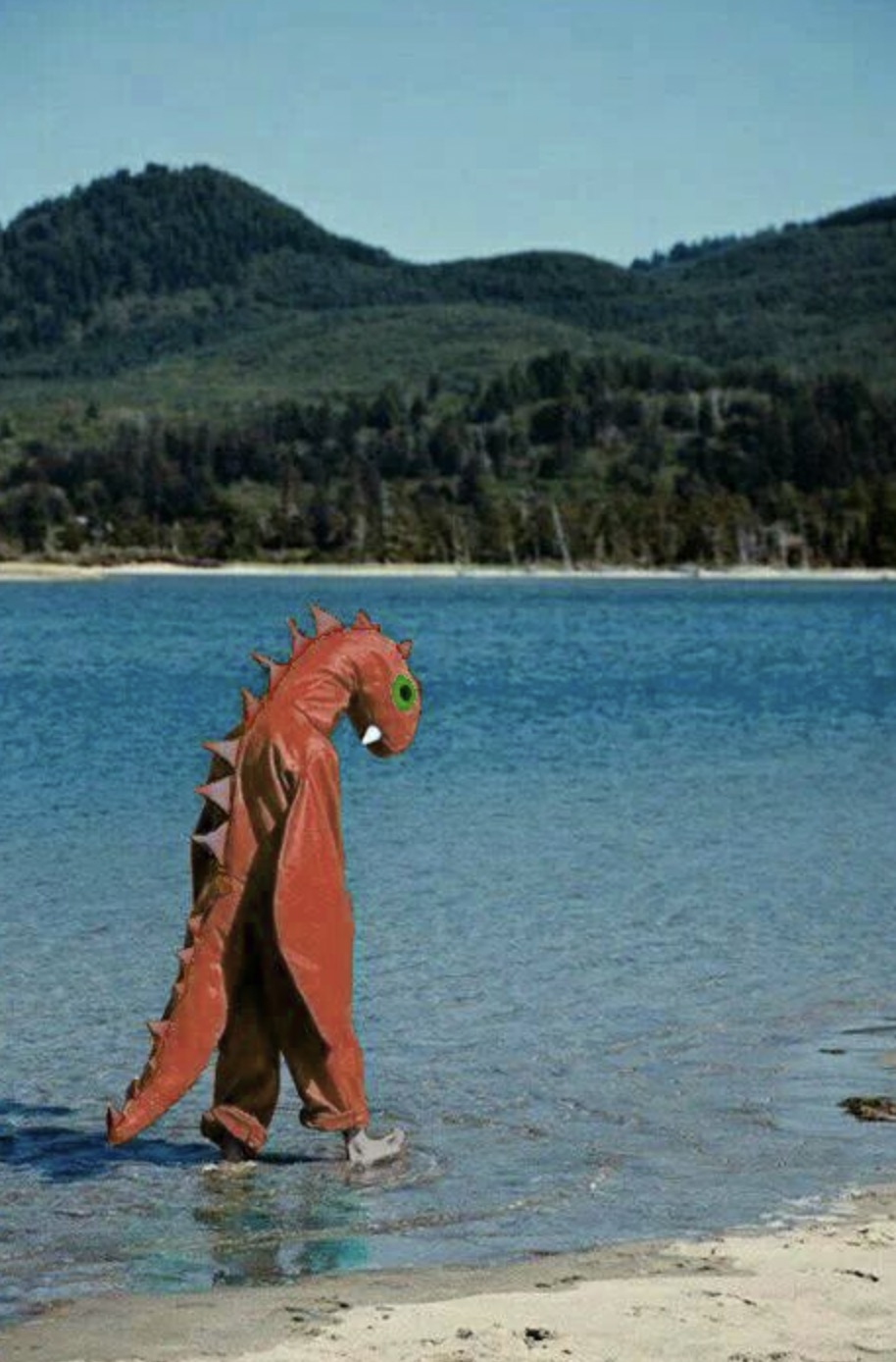 loch ness monster costume